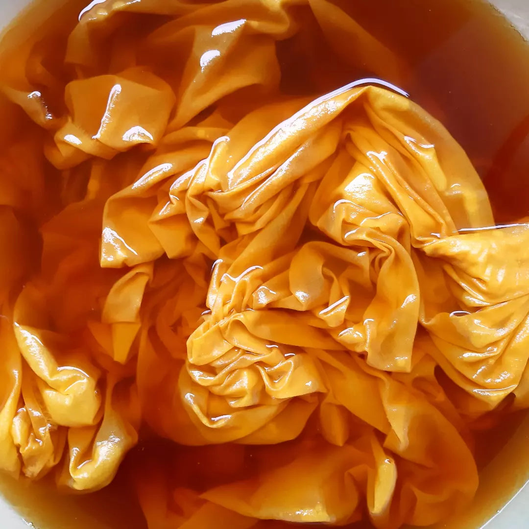 Low-Water Immersion Dye Course (2 Days | Private Class)