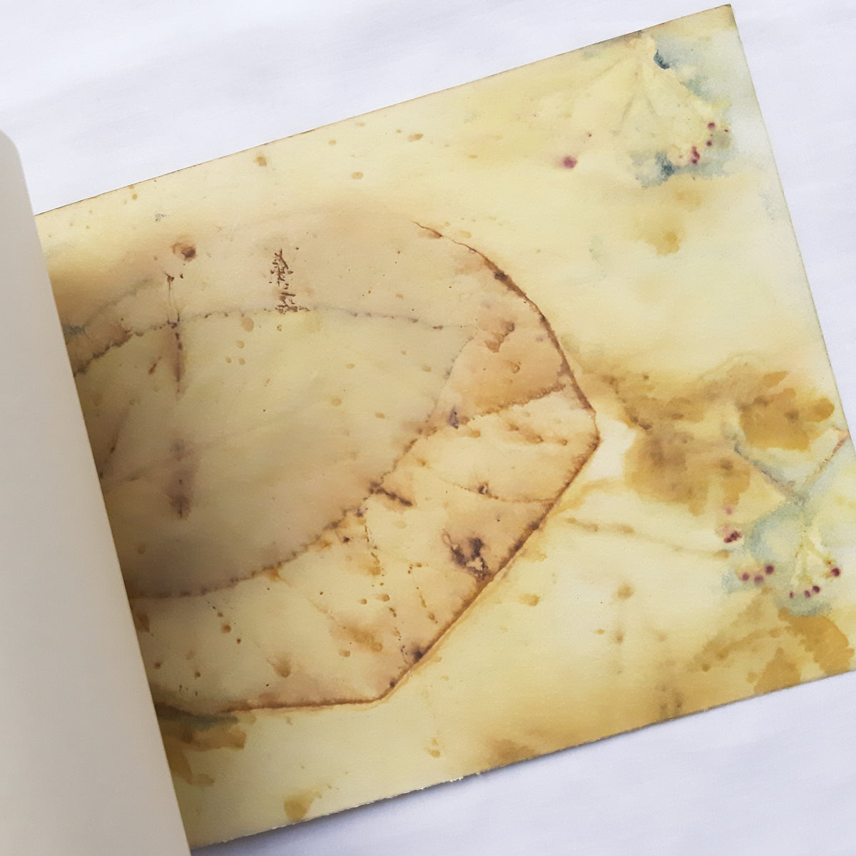 Plant-Dyed Stab-Bound Journal | Rewild 08
