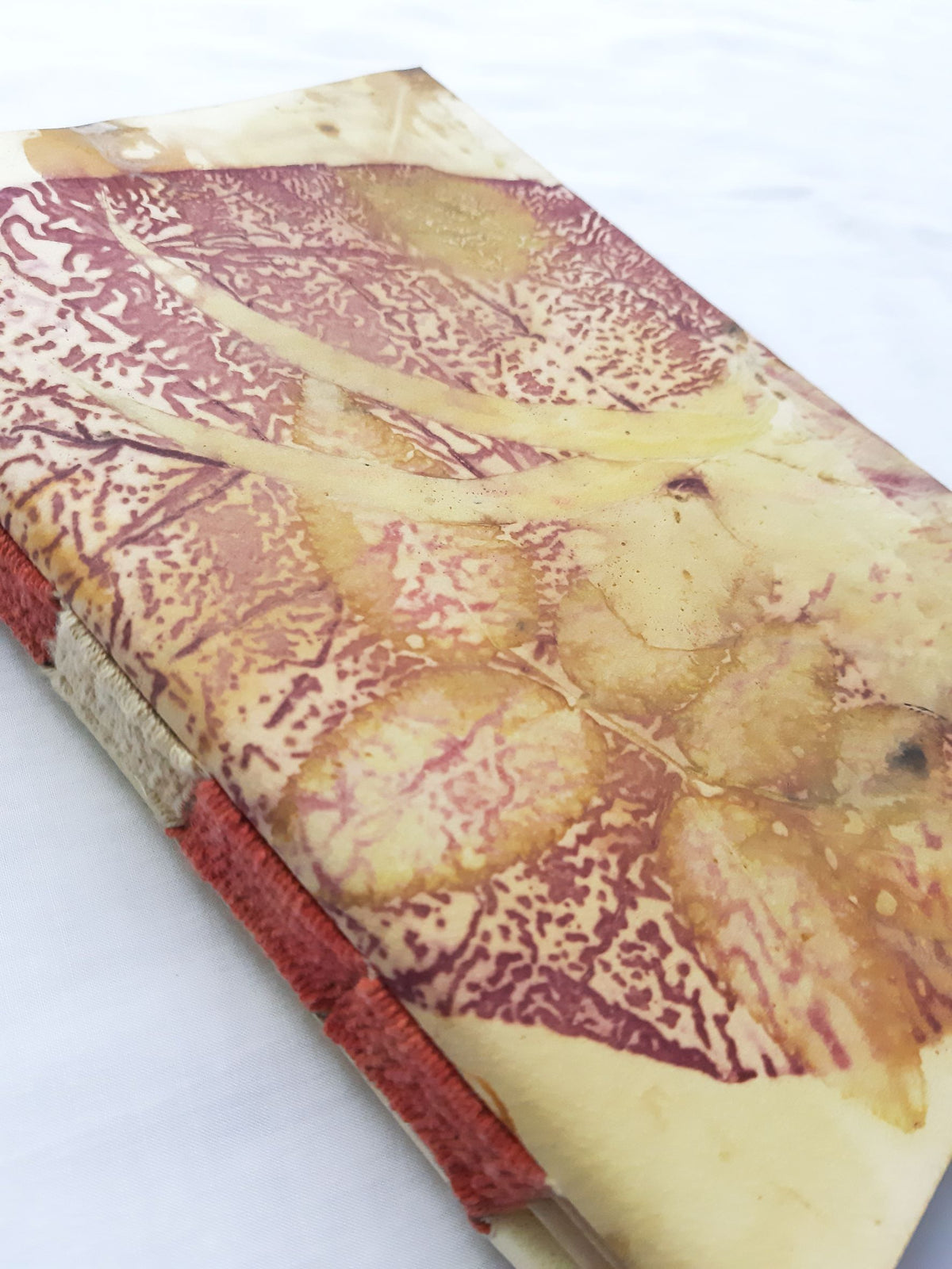 Plant-Dyed Woven-Stitched Book | Rewild 04