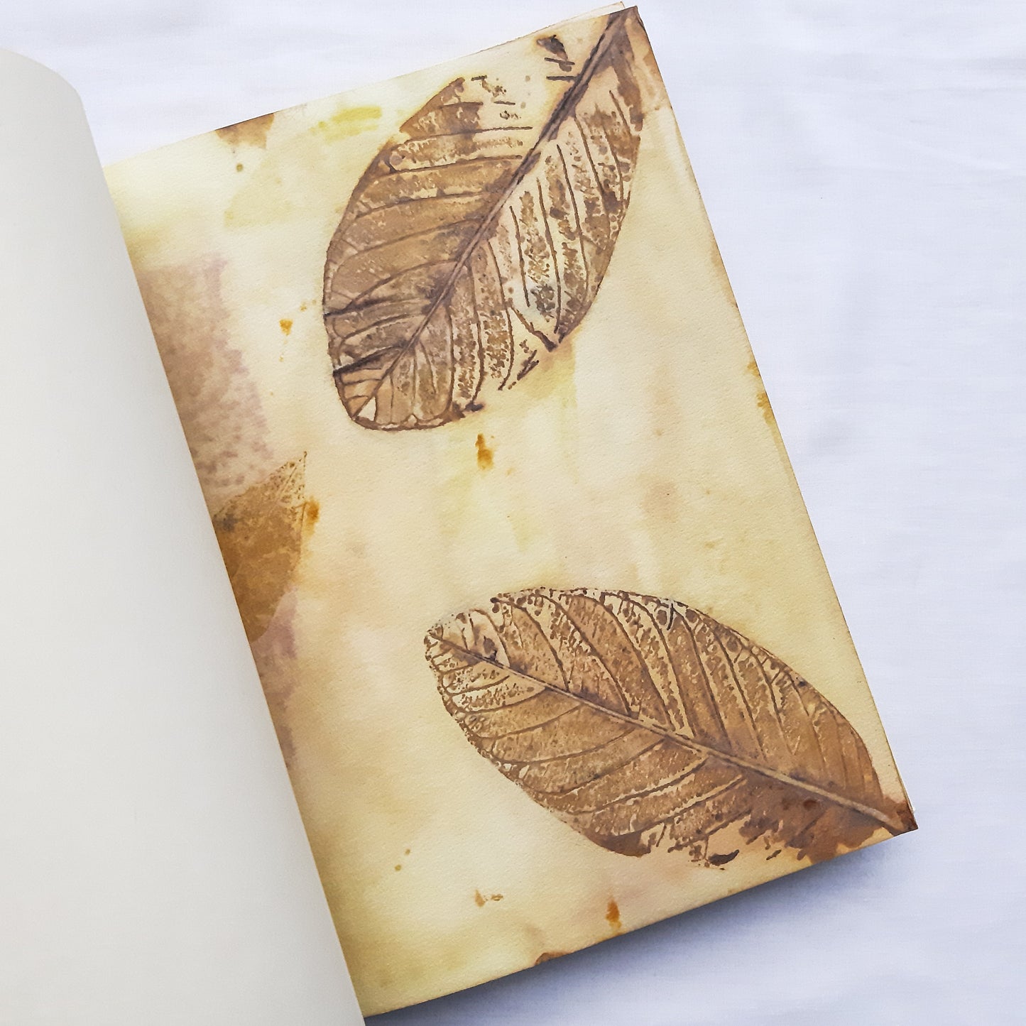 Plant-Dyed Woven-Stitched Book | Rewild 04