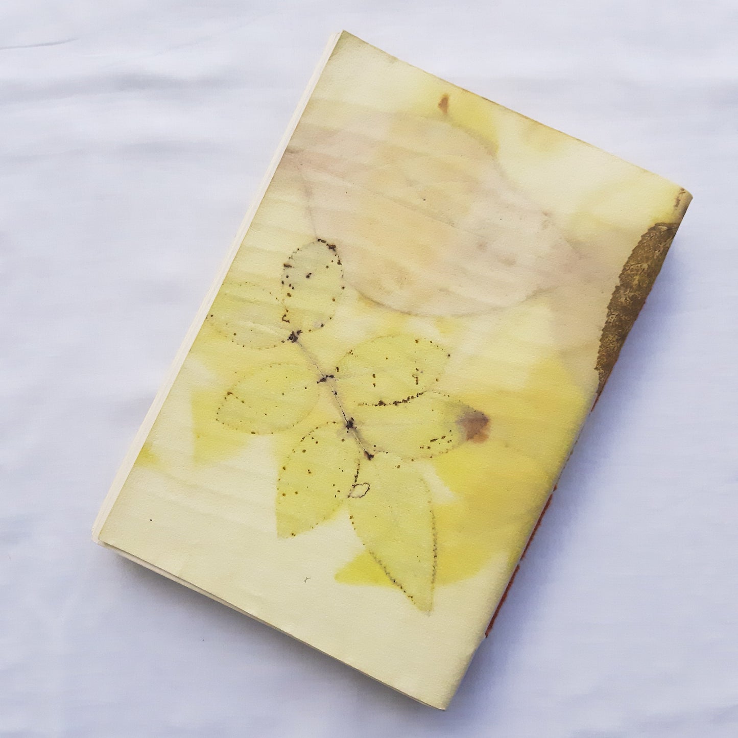 Plant-Dyed Woven-Stitched Book | Rewild 04