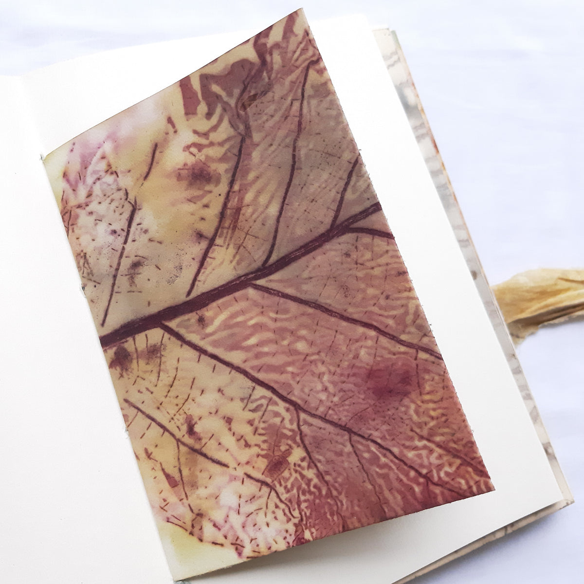Plant-Dyed Woven-Stitched Book | Rewild 03
