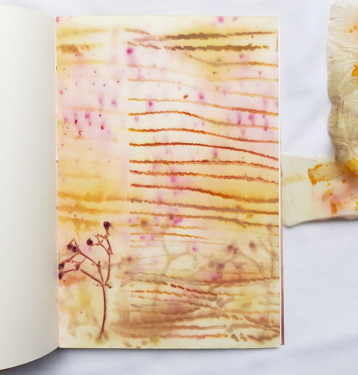 Plant-Dyed Woven-Stitched Book | Rewild 02