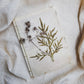 Ecoprinted Journal | Cosmos Tectona Flora
