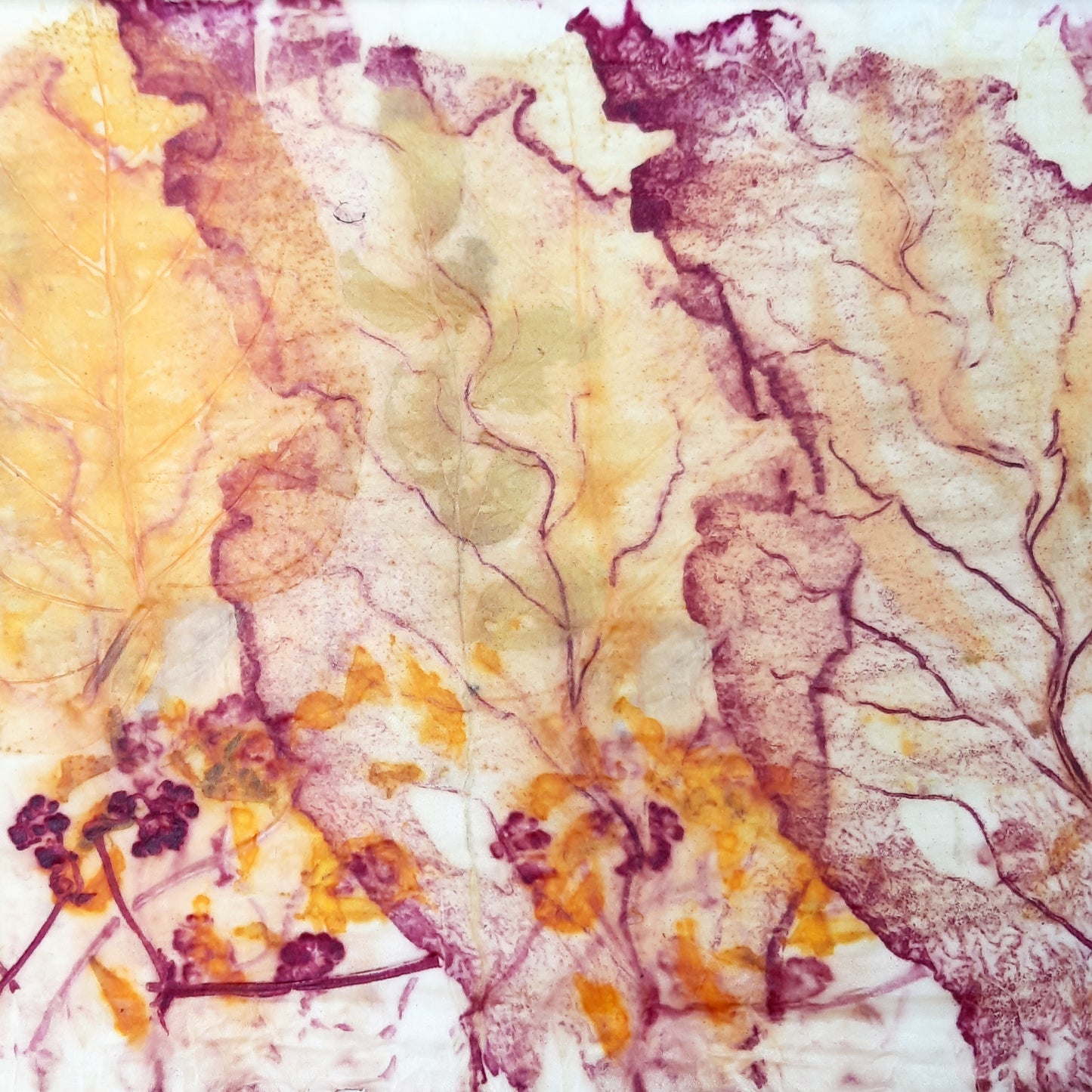 Poetry Cloth: Dye, Print and Paint with Plants Workshop (01-03 December 2023)